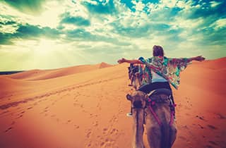 Safari, egypt, camel, jordan, middle east, cairo, solo travel, solo female