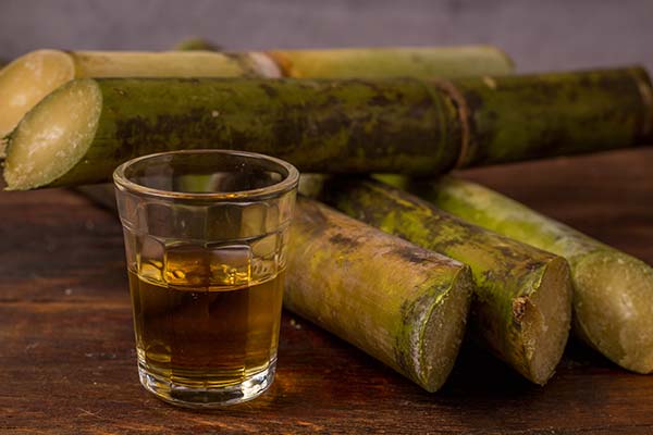 sugar cane and cachaca for festival de cachaca