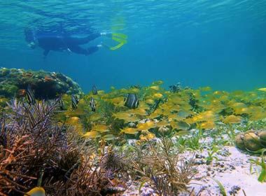 snorkelling in the sea wearing scuba diving gear in Cahuita National Park in Costa Rica, Central America