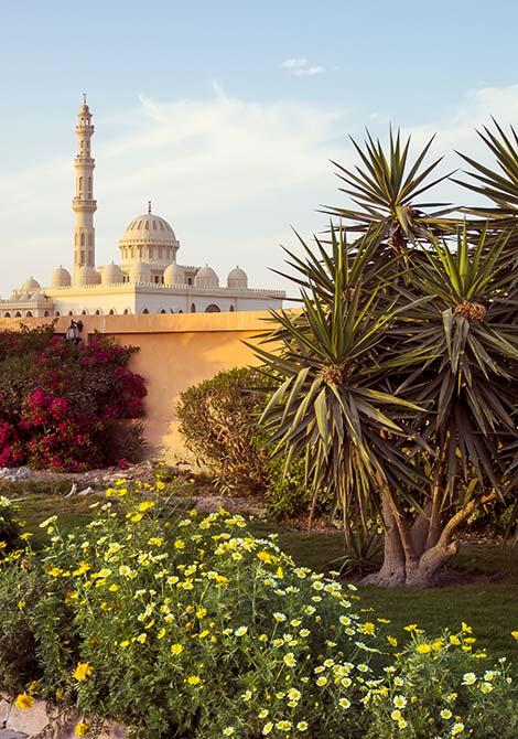 view of beautiful arab architecture in egypt