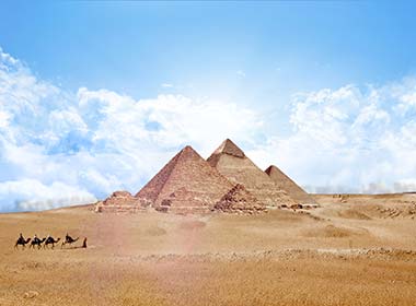 camel hiking through the desert to the great pyramids of giza