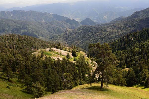 green forests and valleys perfect for hiking in gerogia in vashlovani national park