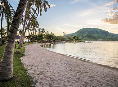 beach and palm trees circling the lake victoria in kenya