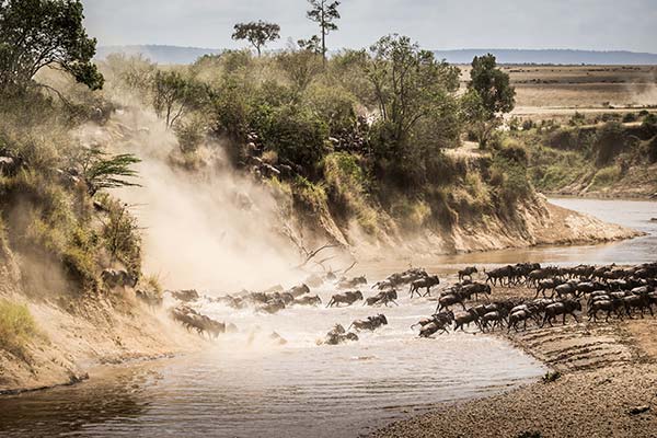 best time for a safari in kenya to see the wgreat migration