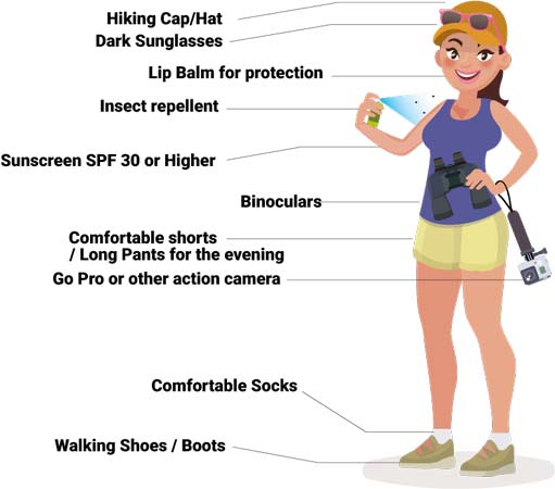 Packing list for essnetials that you should take on a animal safari trip to make sure you have the best chances of spotting wildlife