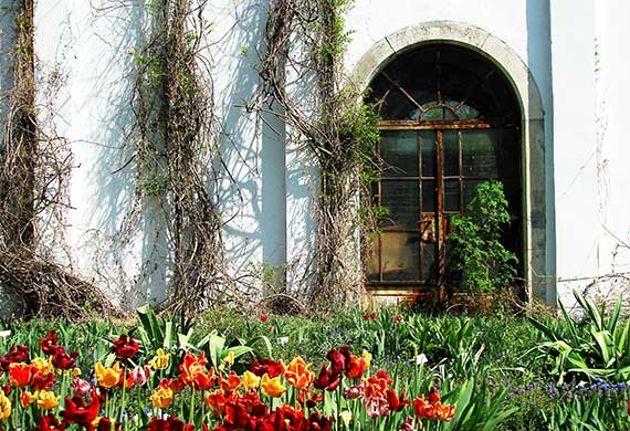 Image showing the entrance and greenery at Krakow Botanical Gardens