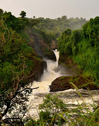 river nile in uganda with green vegetation either side of the river