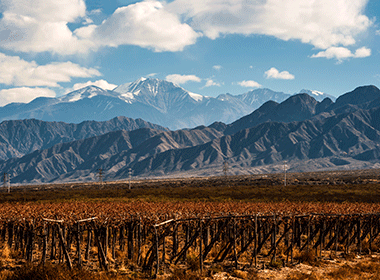 best places to visit in argentina mendoza vineyards with mountains in background