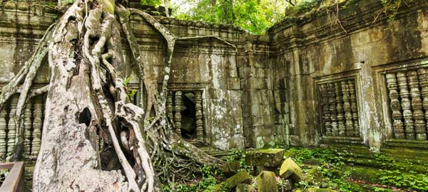 Beng Mealea one of the more interesting temples covered in vines all over the ruins