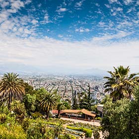 view over mexico city palm trees clear sky