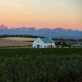 sunet at the winelands in summer in south africa