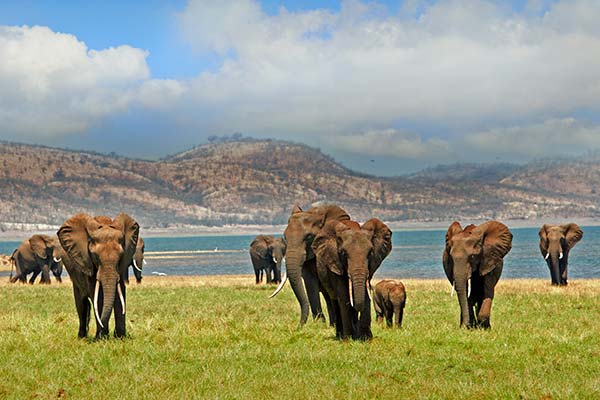 geography and landscape of zimbabwe