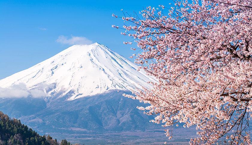 A snow capped Mt Fiji, Japan