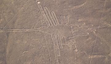 The hummingbird at the Nazca Lines, Peru