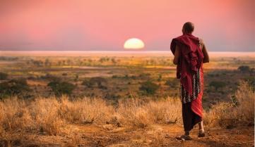 Sunset over the Serengeti National Park, Tanzania